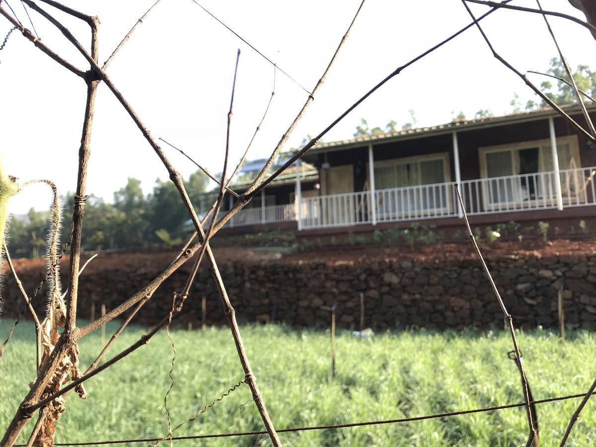 Jungle Valley Agriculture Resort Mahābaleshwar Eksteriør bilde
